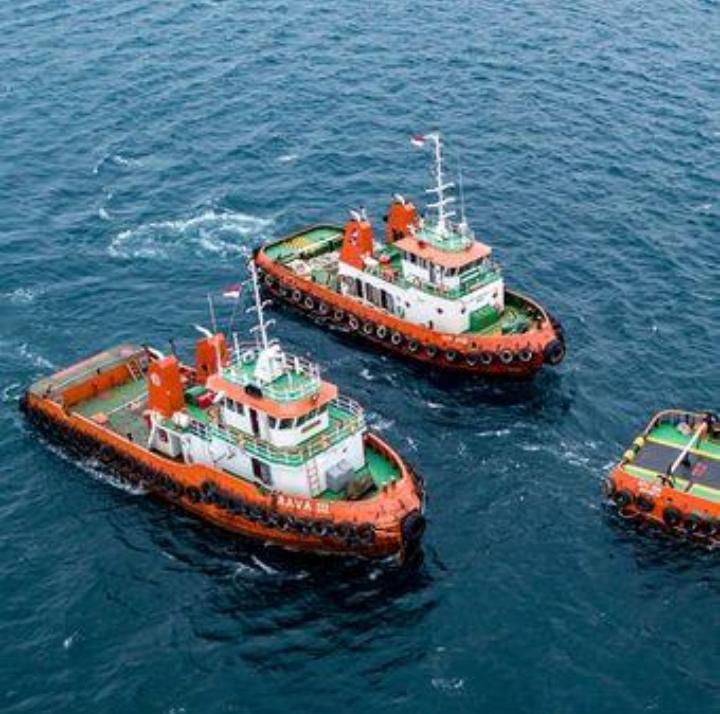 Divisi Shipping / Pelayaran